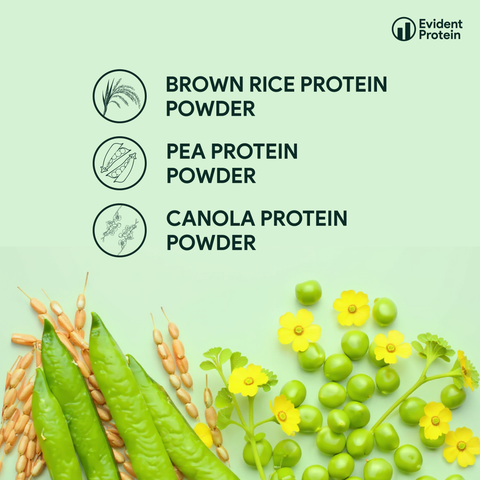 MyoPower - Plant Protein Powder - Unflavored (1.3 LB)